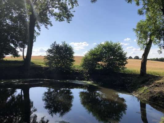 Verwalterhaus-aussen-03