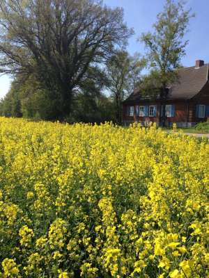 Verwalterhaus-aussen-09