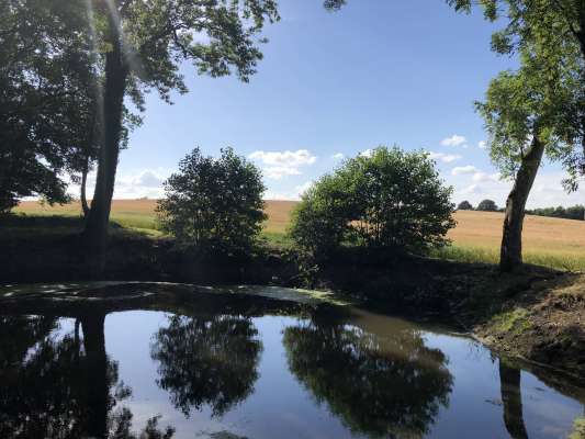 Herrenhaus-aussen-06